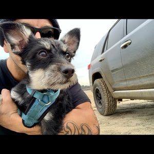 Meet your Posher, Peter